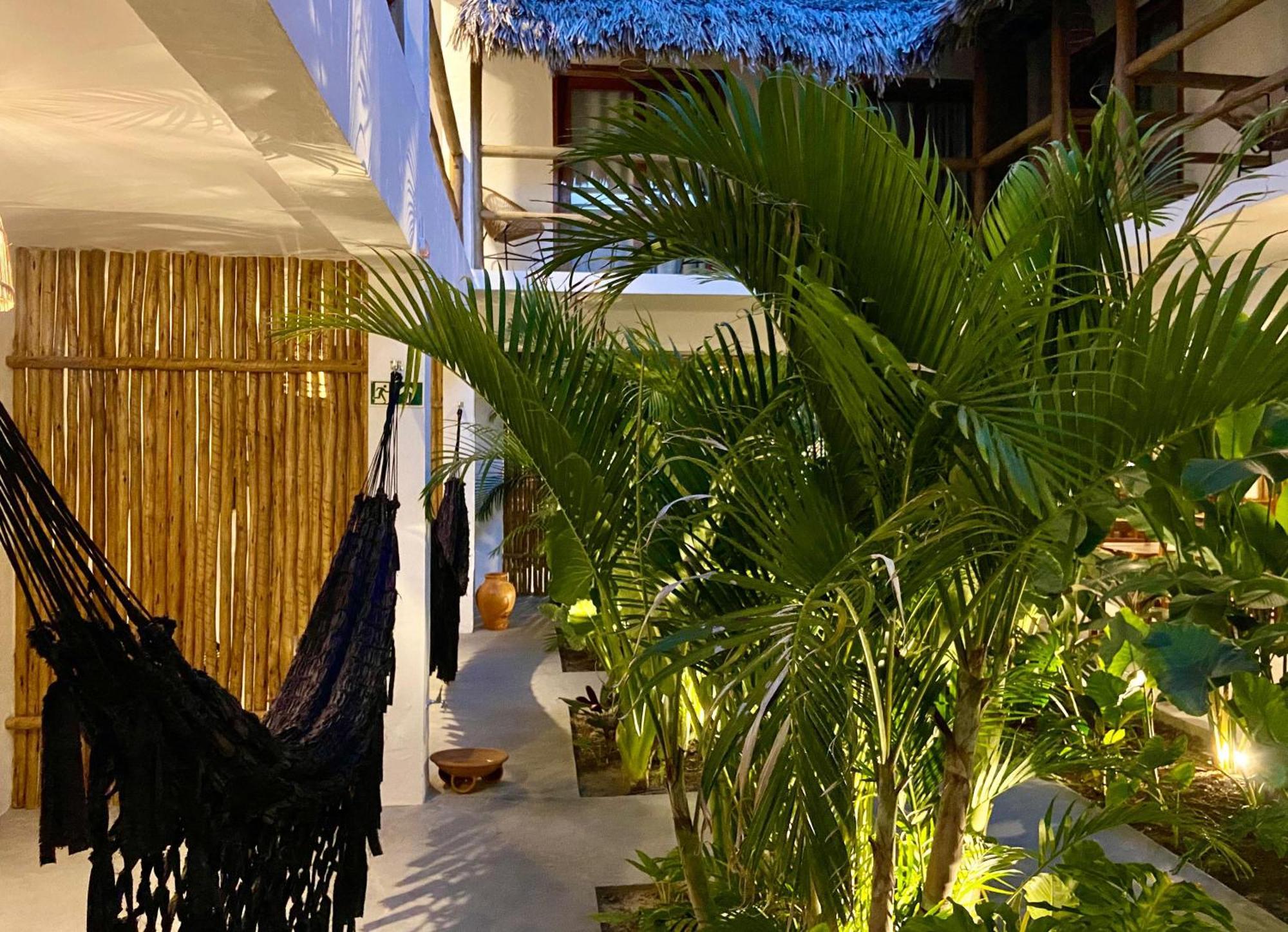 Baoba Jijoca de Jericoacoara